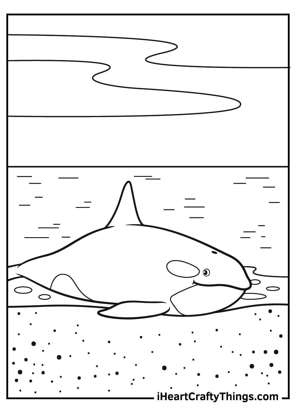 Killer Whale For Kids