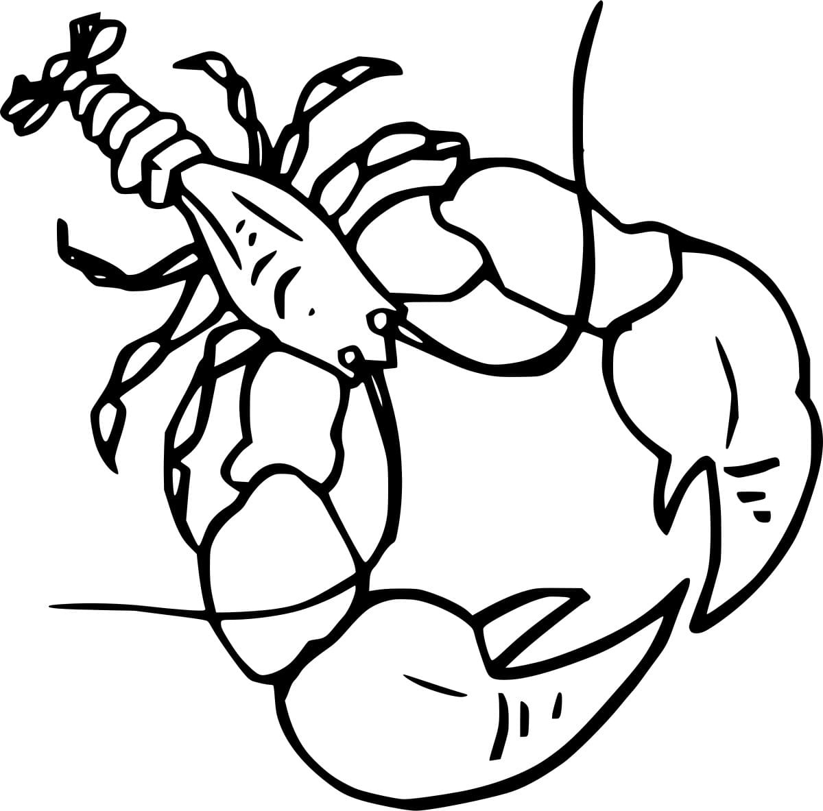 Large Claw Lobster Coloring Page
