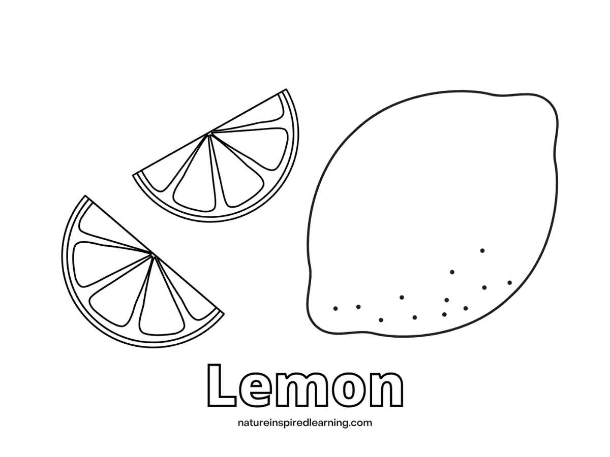 Lemon Coloring Nature Inspired Learning Coloring Page
