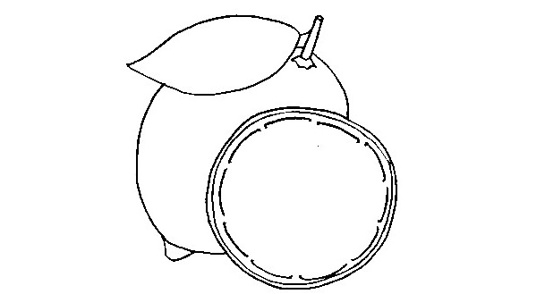 Lemon-Drawing-10