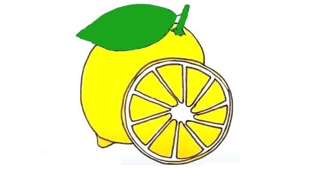 Lemon-Drawing-12
