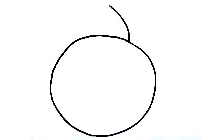 Lemon-Drawing-3