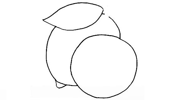 Lemon-Drawing-6