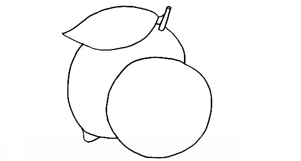 Lemon-Drawing-7