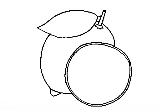 Lemon-Drawing-9