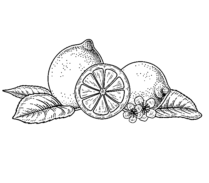 Lemon Painting For Children Coloring Page