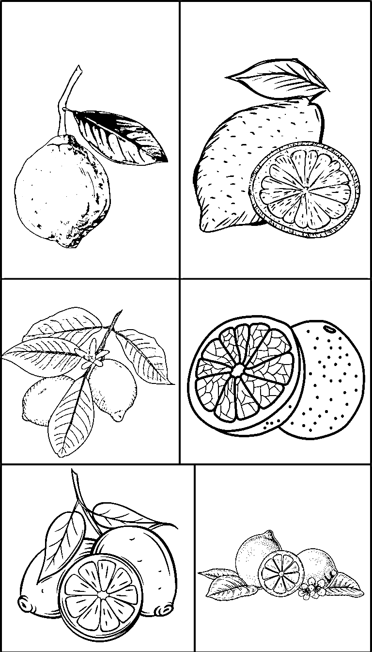 Lemon Sheets Drawing Coloring Page