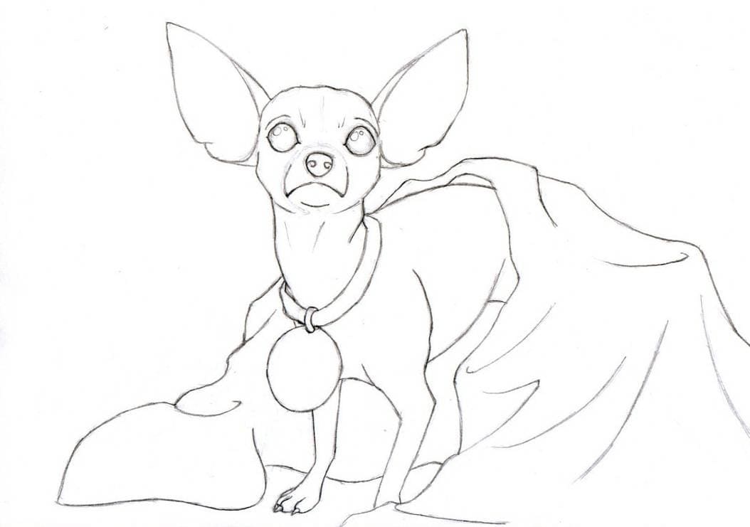 Little Chihuahua Dog Coloring Page