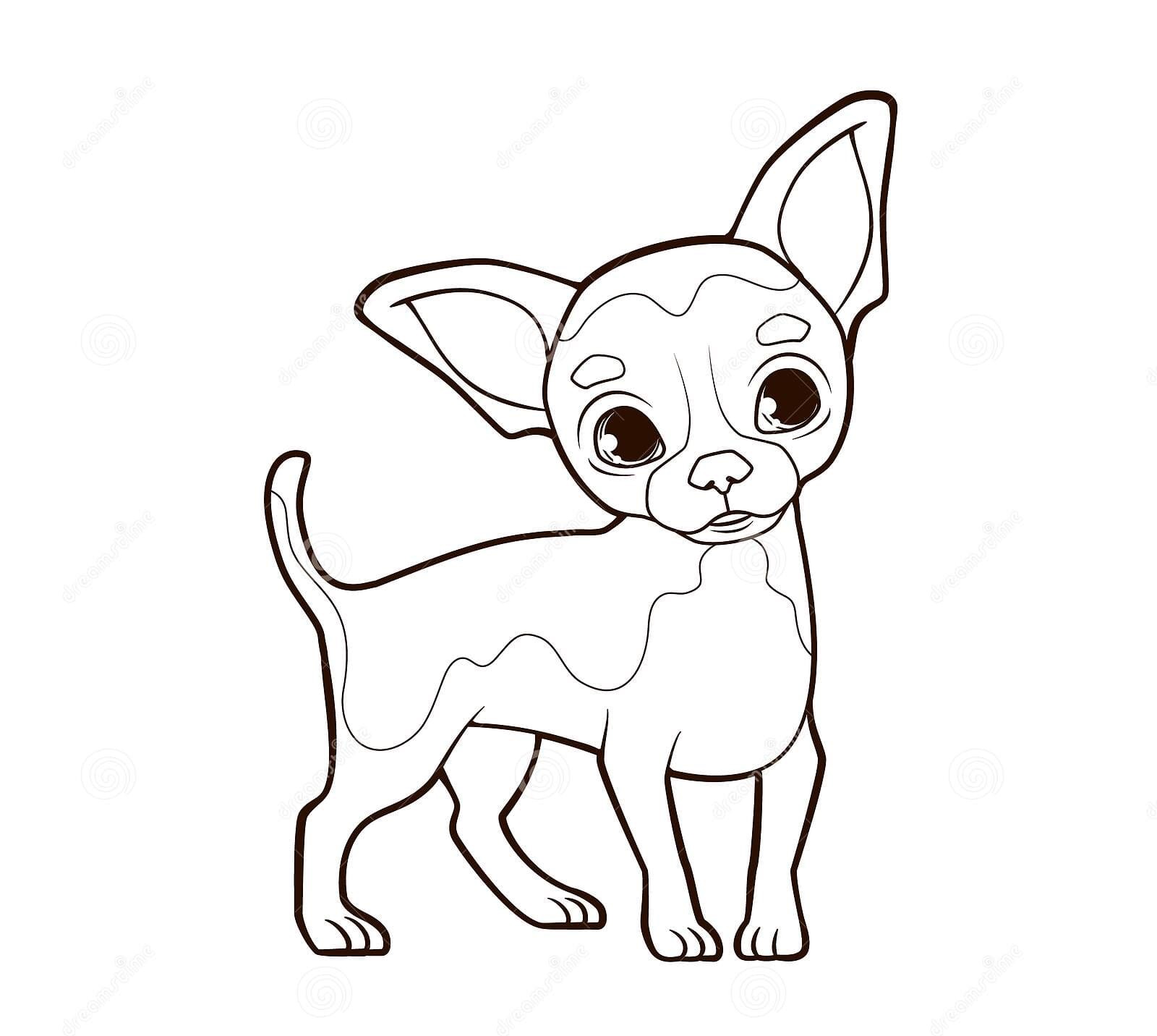 Little Funny Chihuahua Dog With Big Ears Stands On Thin Paws Coloring Page