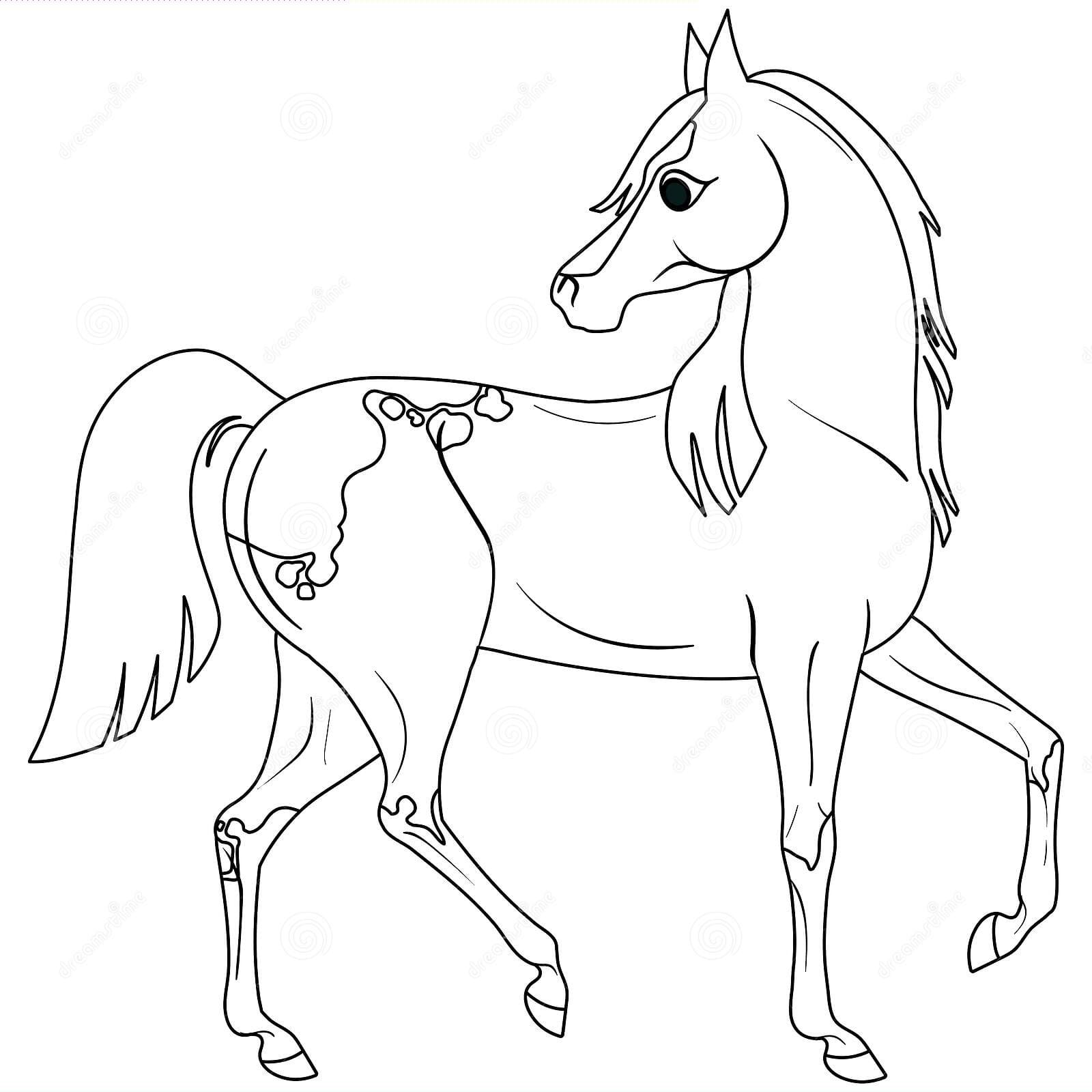 Little Pony Horse