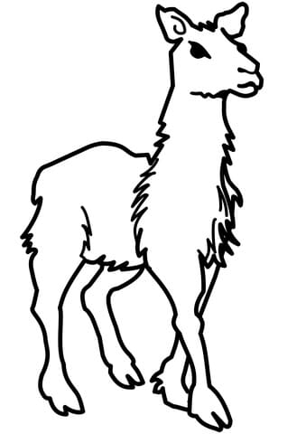 Llama For Children Image Coloring Page