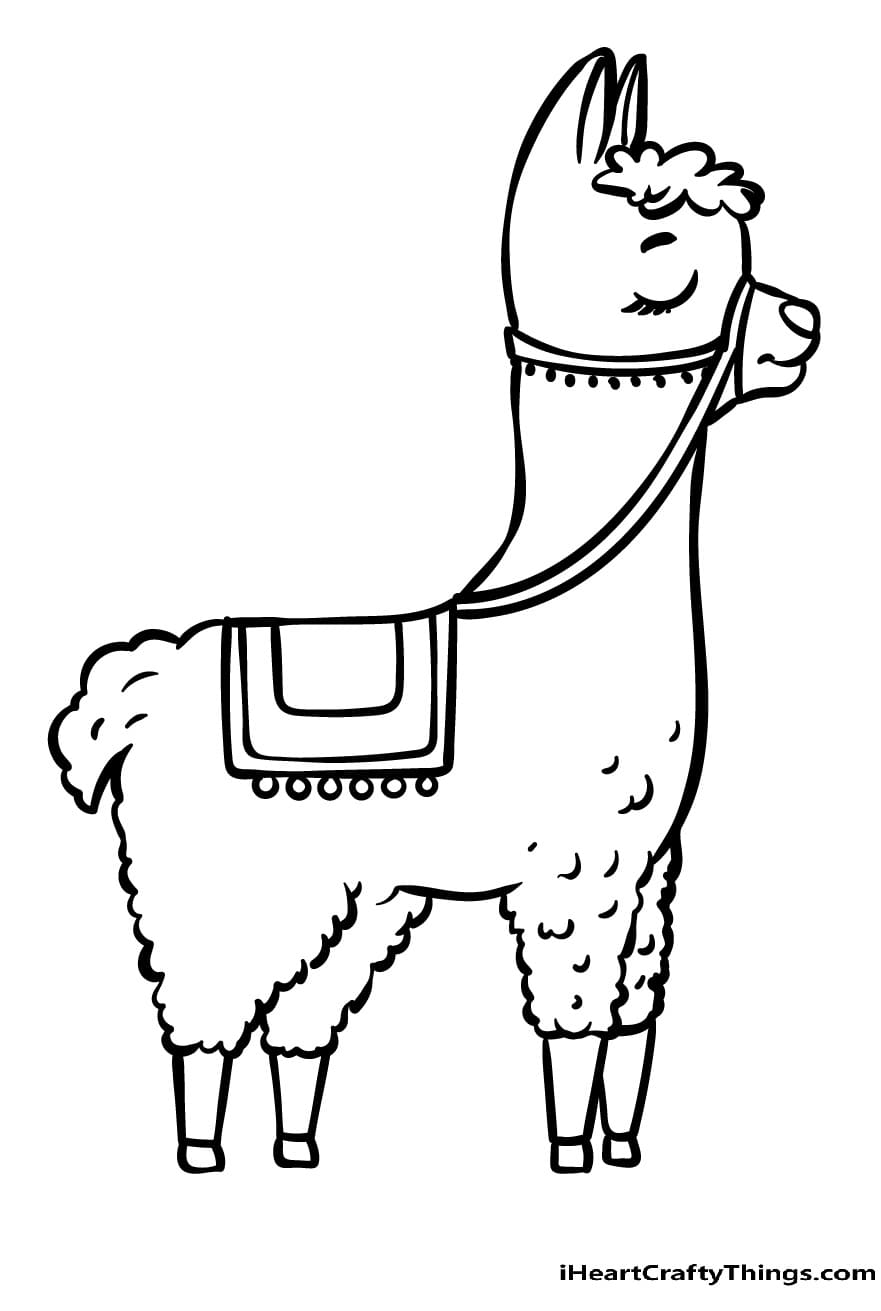 Llama For Children Picture