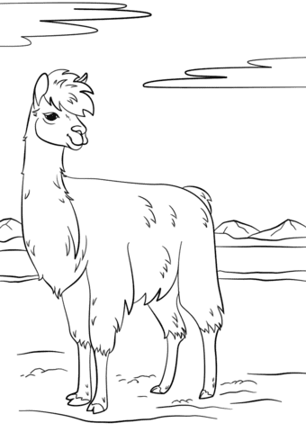 Llama Image