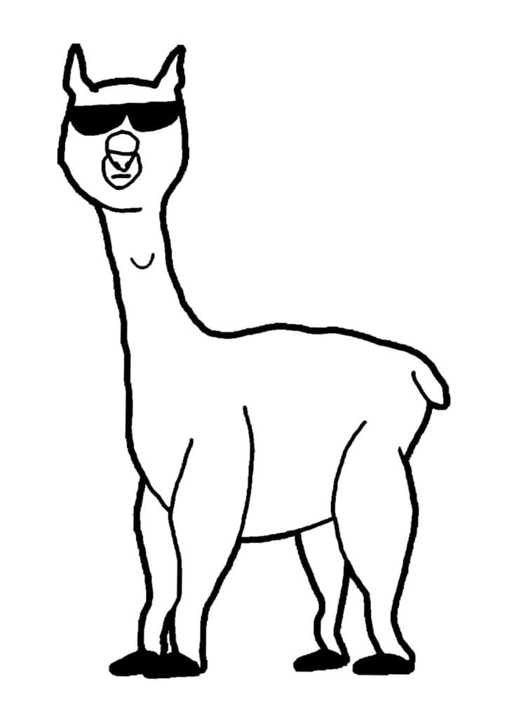 Llama In Sunglasses