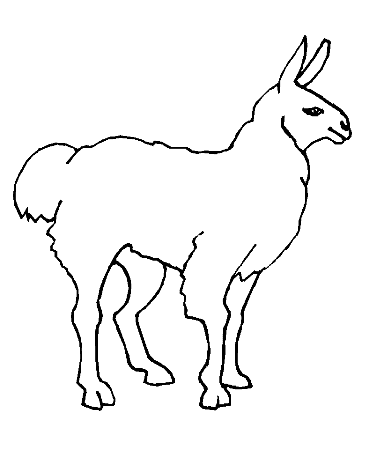 Llama Line Art