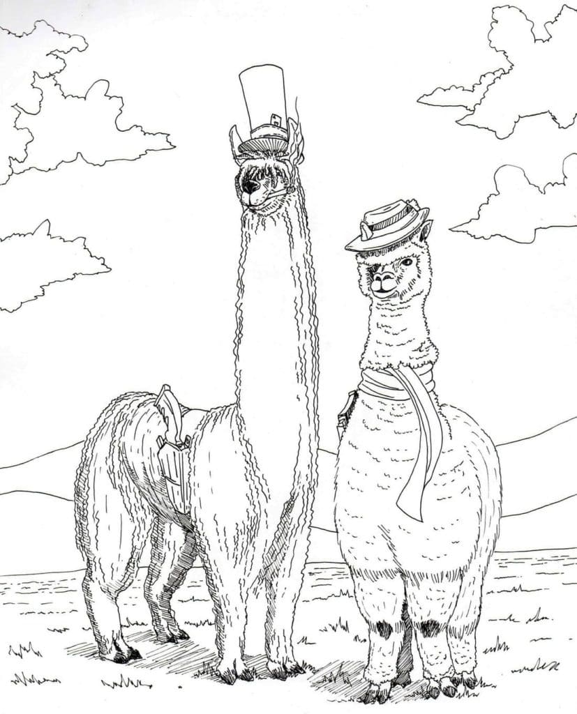 Llamas In Hats
