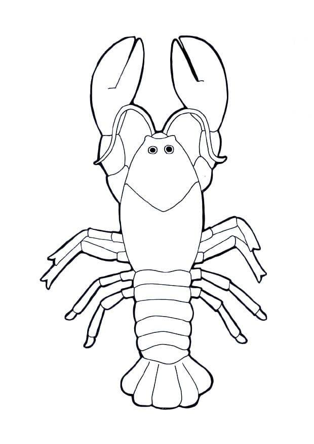 Lobster Coloring Coloring Page