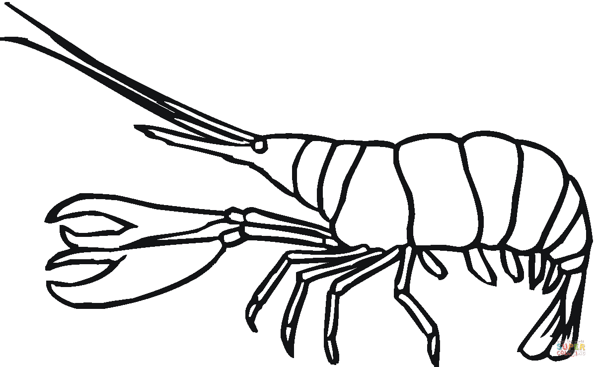 Lobster Cute Painting Coloring Page