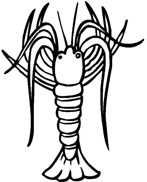 Lobster Cute Picture For Kids Coloring Page
