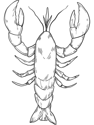 Lobster Cute Coloring Page