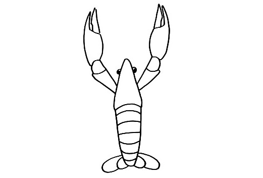 Lobster-Drawing-4
