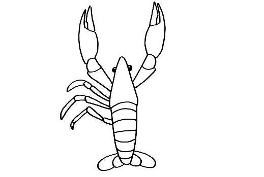 Lobster-Drawing-5