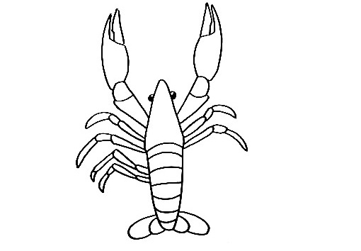 Lobster-Drawing-7
