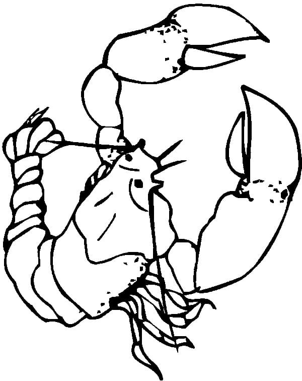 Lobster Image Cute Coloring Page