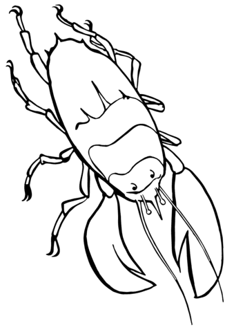 Lobster Image For Kids Coloring Page