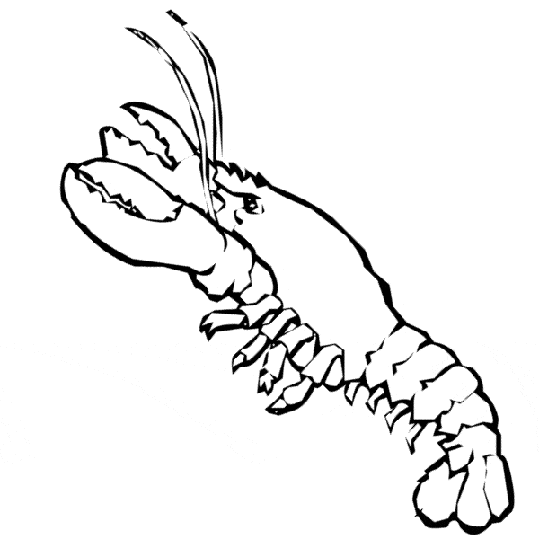 Lobster Picture