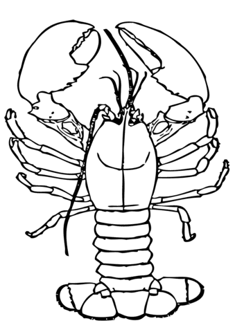 Lobster with Big Claws Drawing