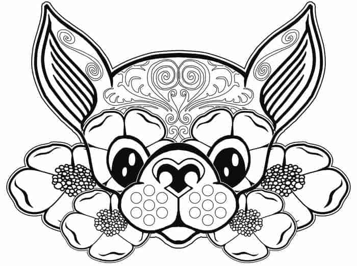 Lps Chihuahua Coloring Pages Black And White