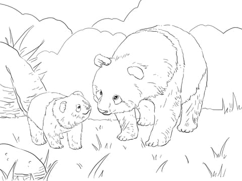 Mother Panda With Cute Cub Image Coloring Page