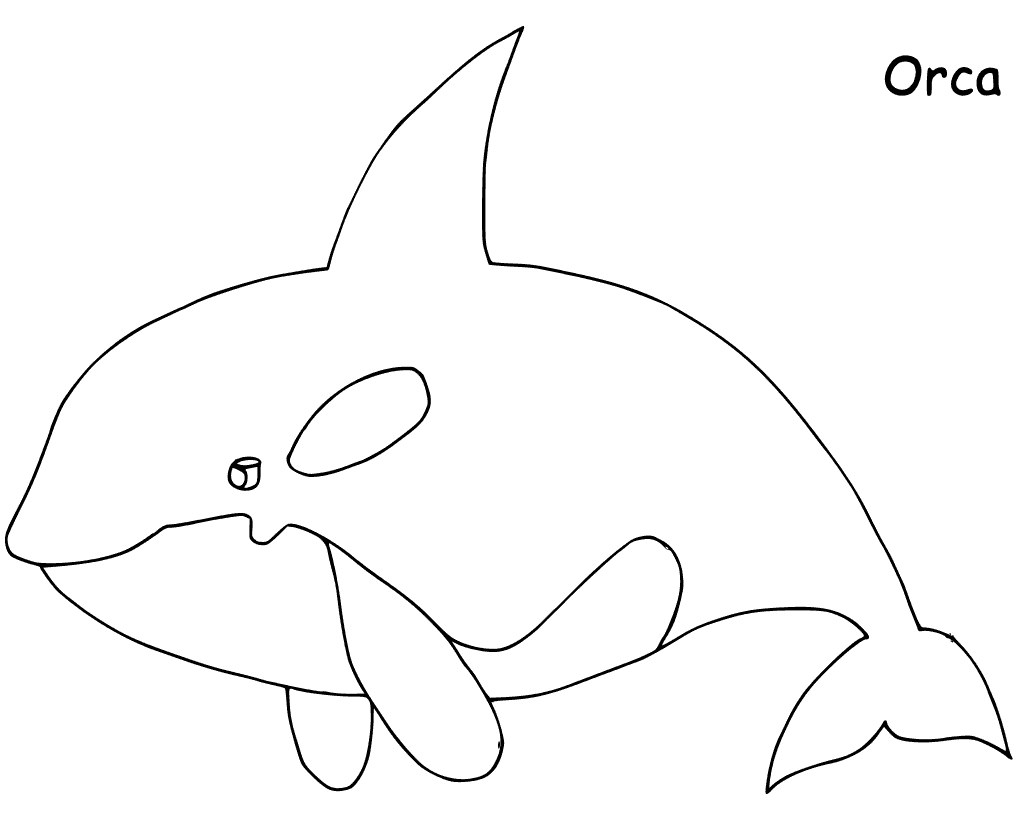 Orca Whale For Kids Image