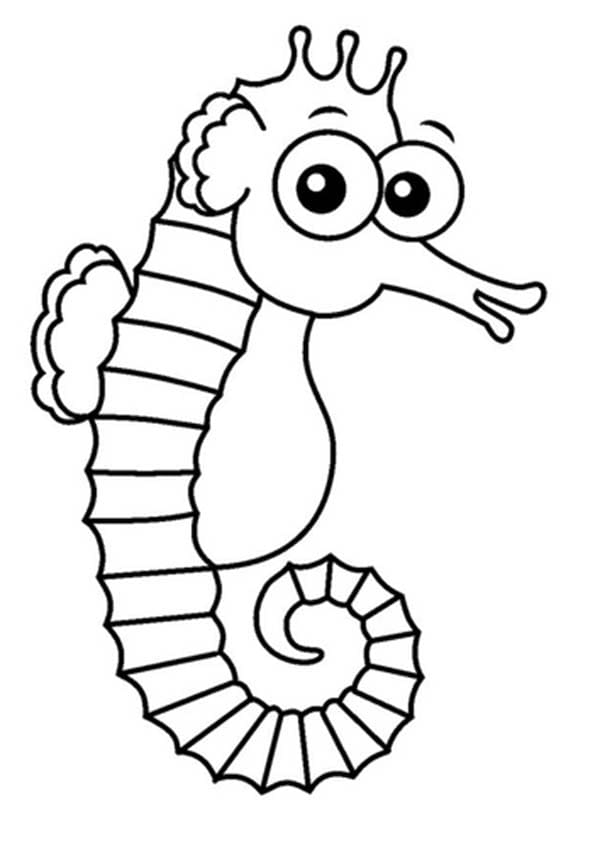 Outstanding Seahorse Coloring Page