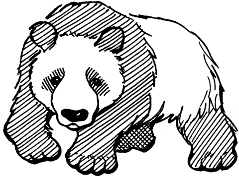 Panda Image Coloring Page