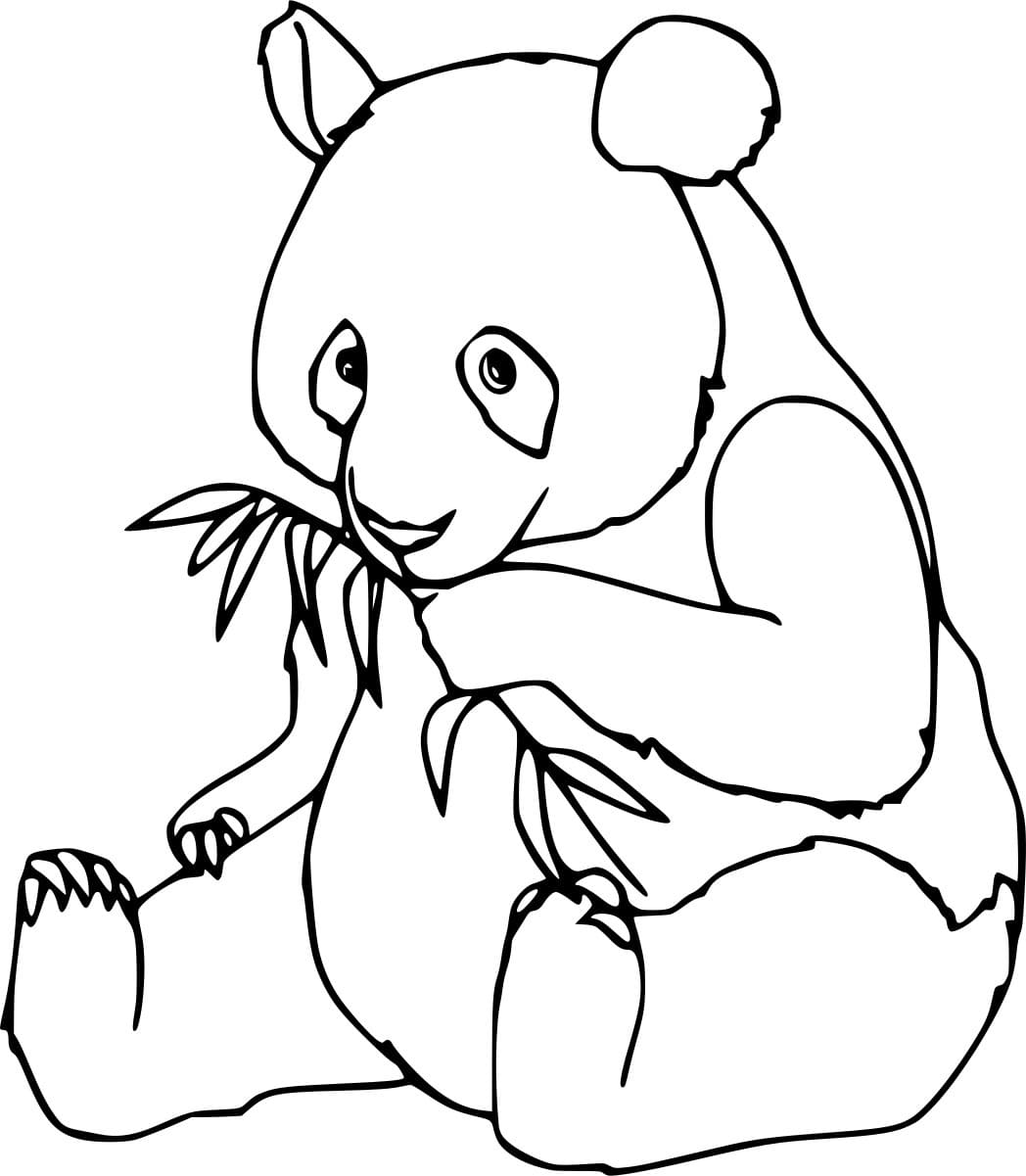 Panda Sits On The Ground Eating Bamboo Coloring Page