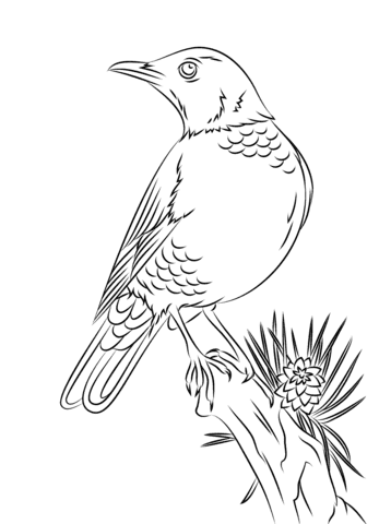 Perched American Robin Image Coloring Page