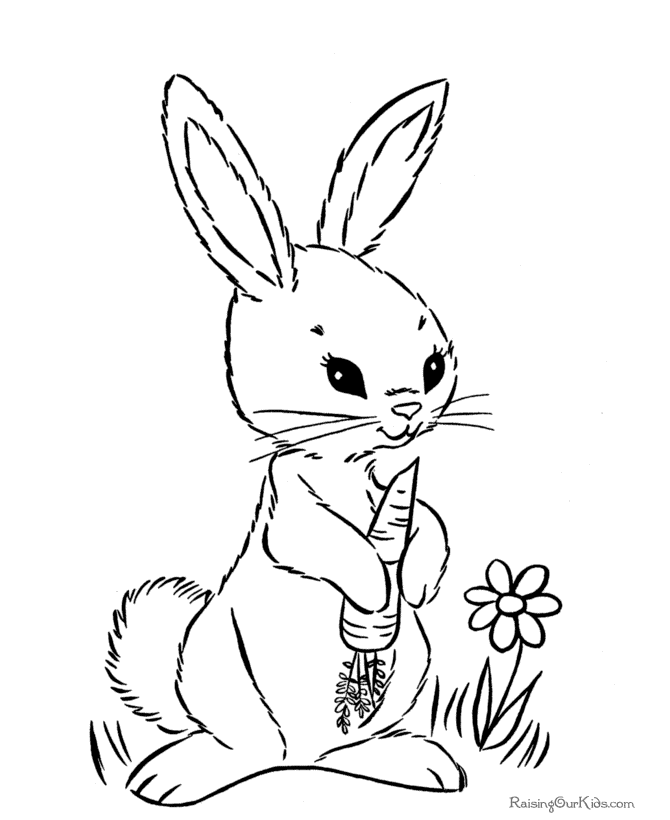 Picture Bunny Coloring