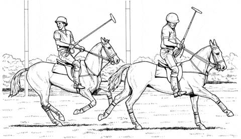 Polo Match Coloring Page