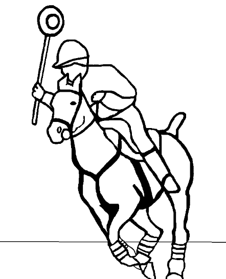 Polocrosse Sport Horseback