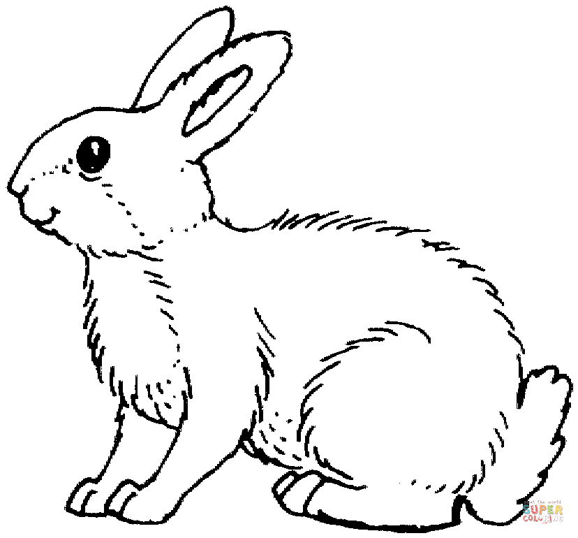 Printable Bunny