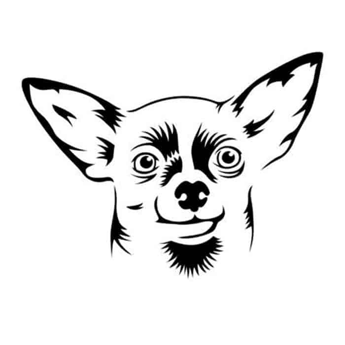 Printable Chihuahua Adult