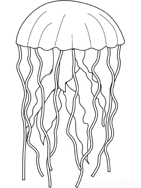 Printable Jellyfish