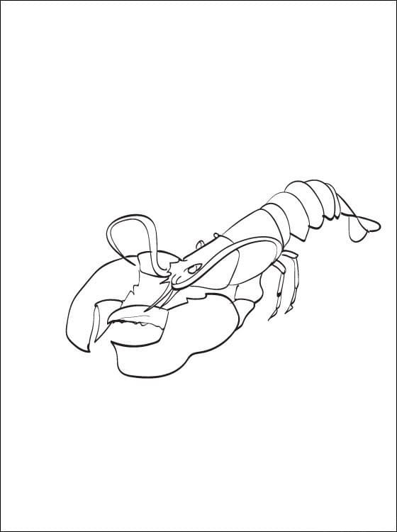 Printable Lobster Coloring Sheet
