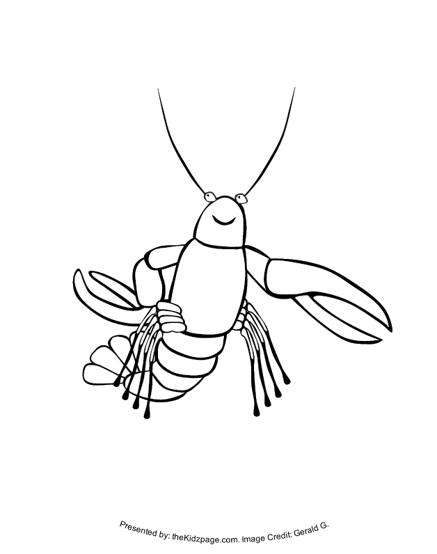 Printable Lobster Coloring Sheets
