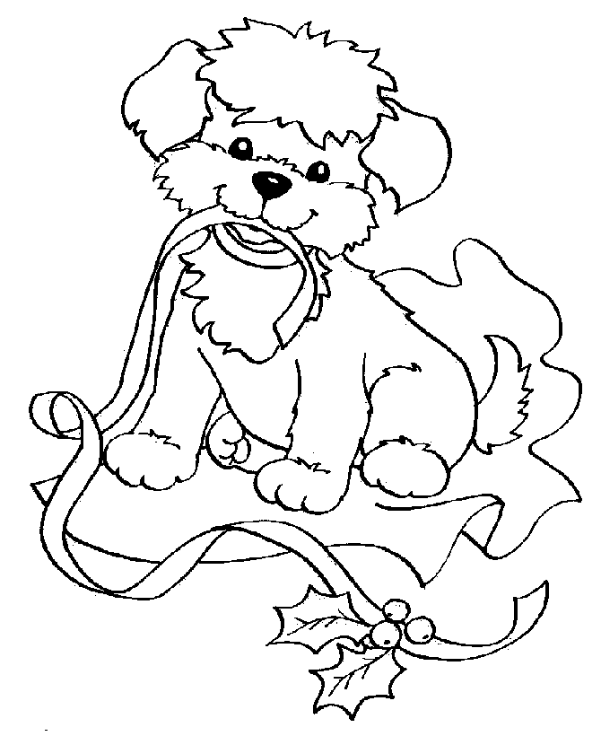 Puppy And Ribbon