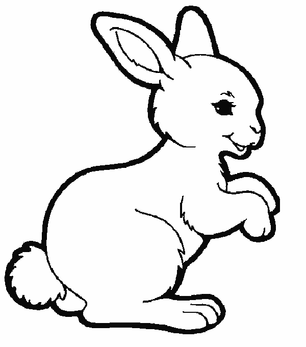 Rabbit Image For Children Coloring Page