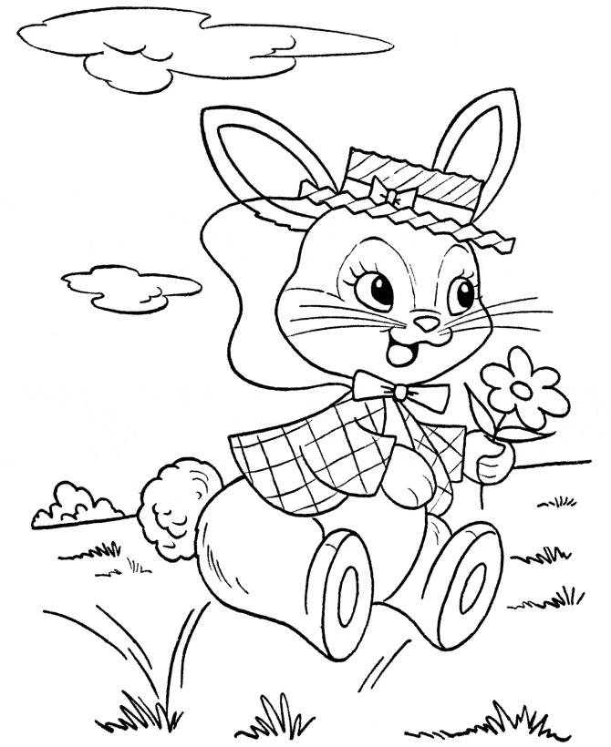 Rabbit Picture For Kids