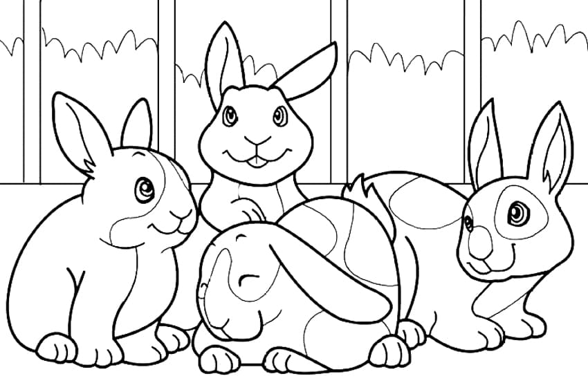 Rabbits Bunny Sheets